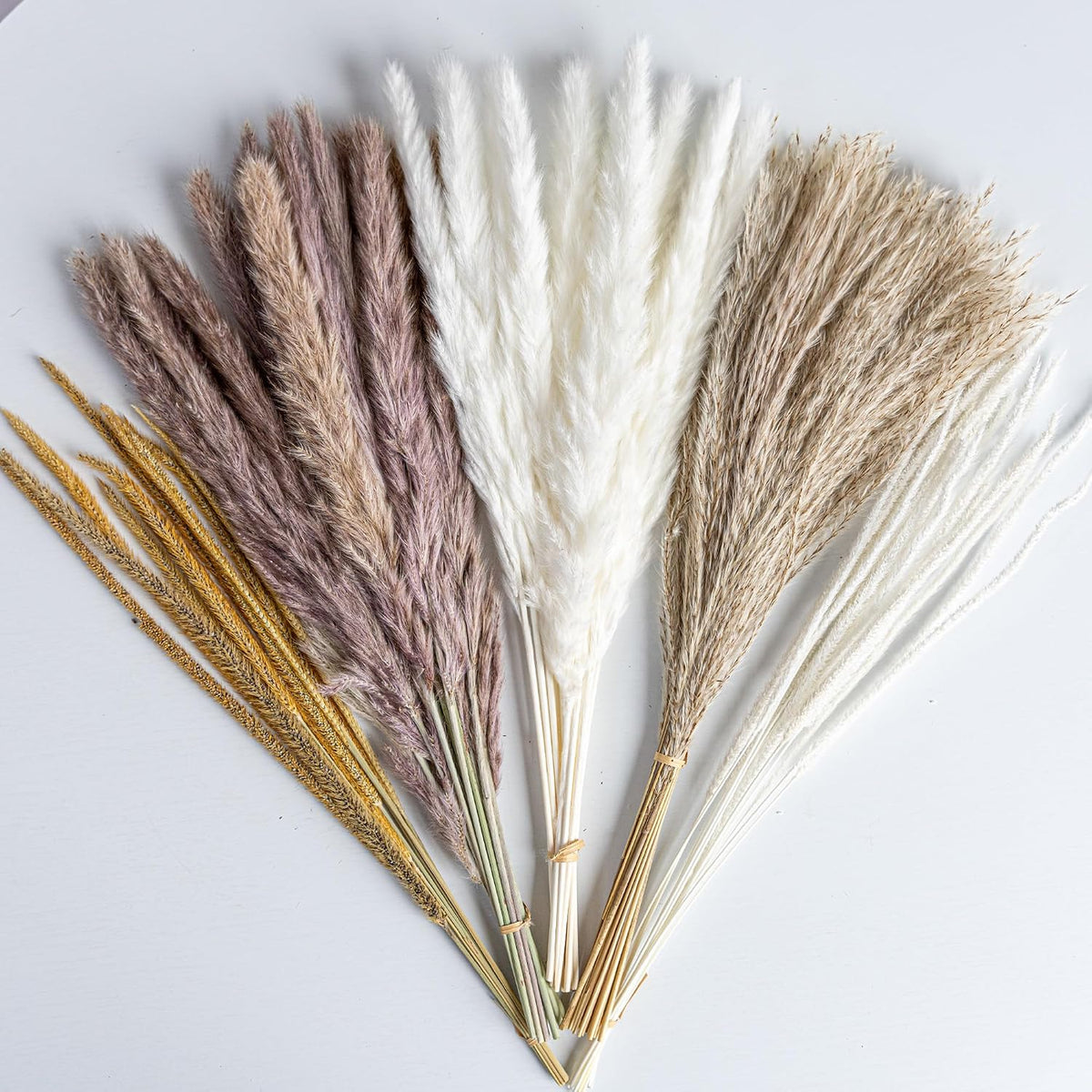 Natural Dried Pampas Grass Boho Home Decor Bouquet Phragmites Dried Flowers Bouquet for Wedding Floral Arrangements Living Room Decorations