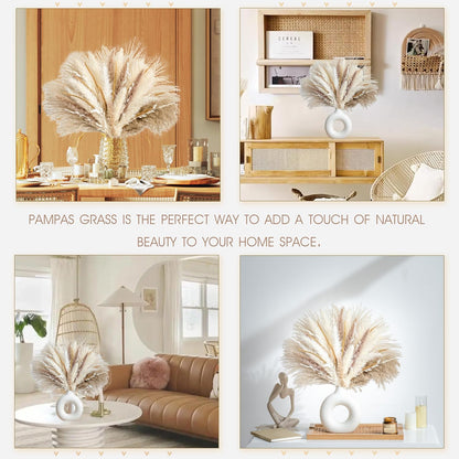 Natural Dried Pampas Grass Boho Home Decor Bouquet Phragmites Dried Flowers Bouquet for Wedding Floral Arrangements Living Room Decorations