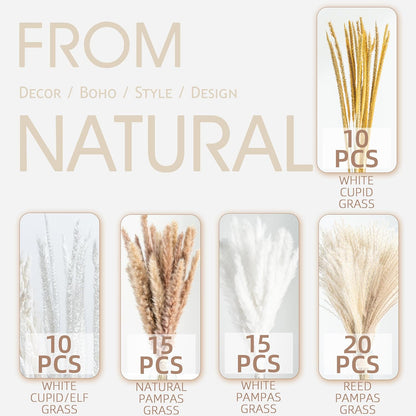Natural Dried Pampas Grass Boho Home Decor Bouquet Phragmites Dried Flowers Bouquet for Wedding Floral Arrangements Living Room Decorations