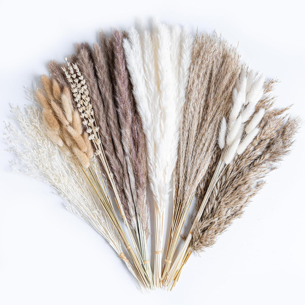 Natural Dried Pampas Grass Boho Home Decor Bouquet Phragmites Dried Flowers Bouquet for Wedding Floral Arrangements Living Room Decorations