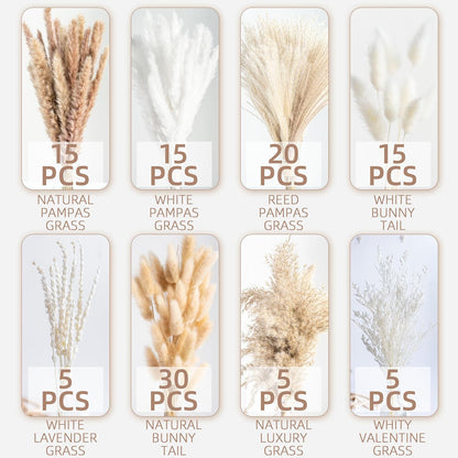Natural Dried Pampas Grass Boho Home Decor Bouquet Phragmites Dried Flowers Bouquet for Wedding Floral Arrangements Living Room Decorations