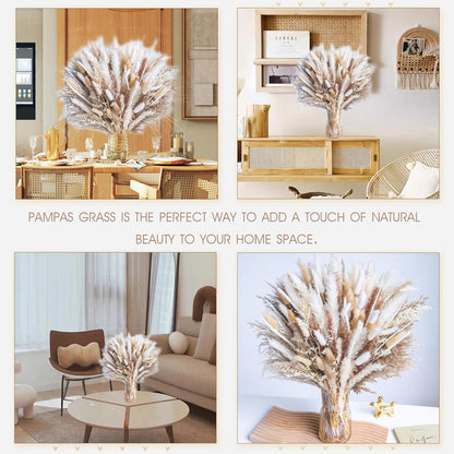 Natural Dried Pampas Grass Boho Home Decor Bouquet Phragmites Dried Flowers Bouquet for Wedding Floral Arrangements Living Room Decorations