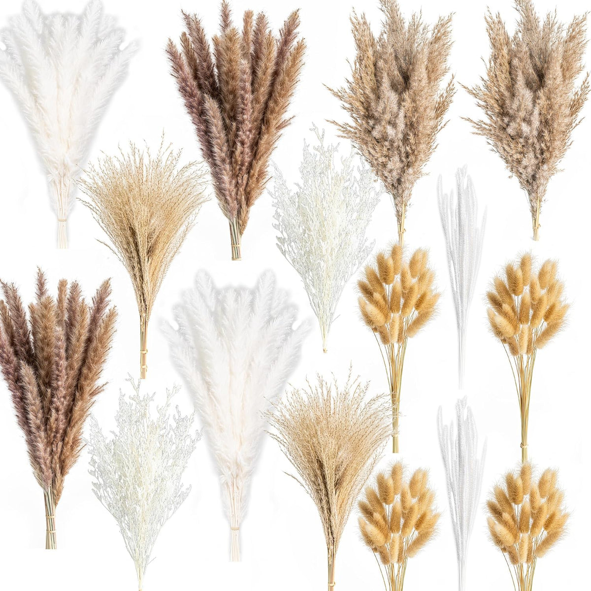 Natural Dried Pampas Grass Boho Home Decor Bouquet Phragmites Dried Flowers Bouquet for Wedding Floral Arrangements Living Room Decorations