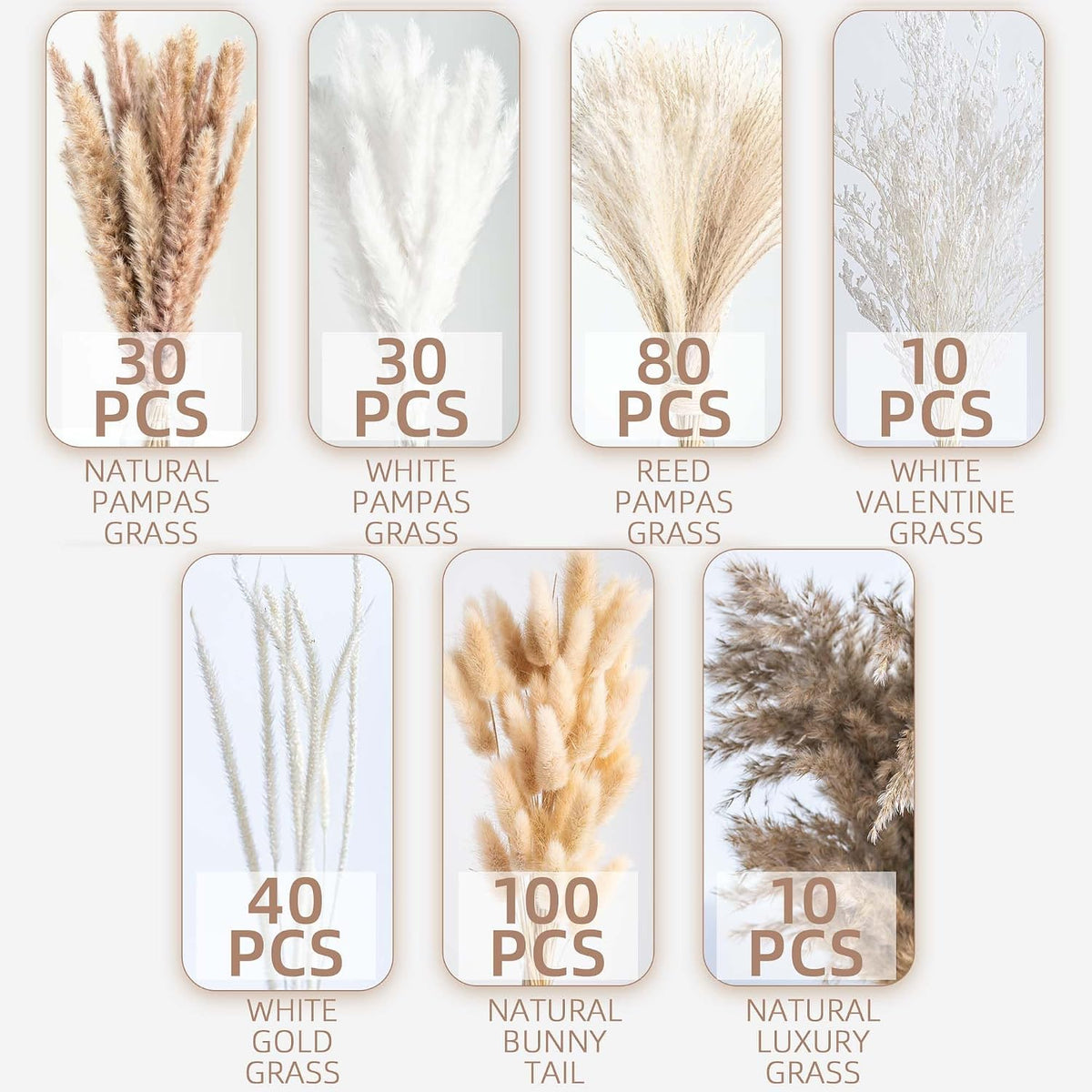 Natural Dried Pampas Grass Boho Home Decor Bouquet Phragmites Dried Flowers Bouquet for Wedding Floral Arrangements Living Room Decorations