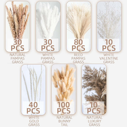 Natural Dried Pampas Grass Boho Home Decor Bouquet Phragmites Dried Flowers Bouquet for Wedding Floral Arrangements Living Room Decorations
