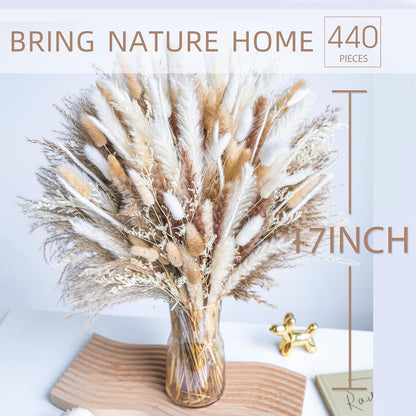 Natural Dried Pampas Grass Boho Home Decor Bouquet Phragmites Dried Flowers Bouquet for Wedding Floral Arrangements Living Room Decorations