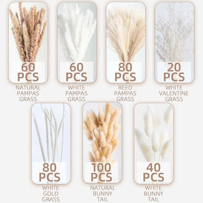 Natural Dried Pampas Grass Boho Home Decor Bouquet Phragmites Dried Flowers Bouquet for Wedding Floral Arrangements Living Room Decorations