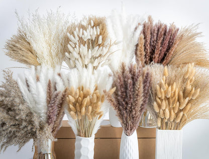 Natural Dried Pampas Grass Boho Home Decor Bouquet Phragmites Dried Flowers Bouquet for Wedding Floral Arrangements Living Room Decorations
