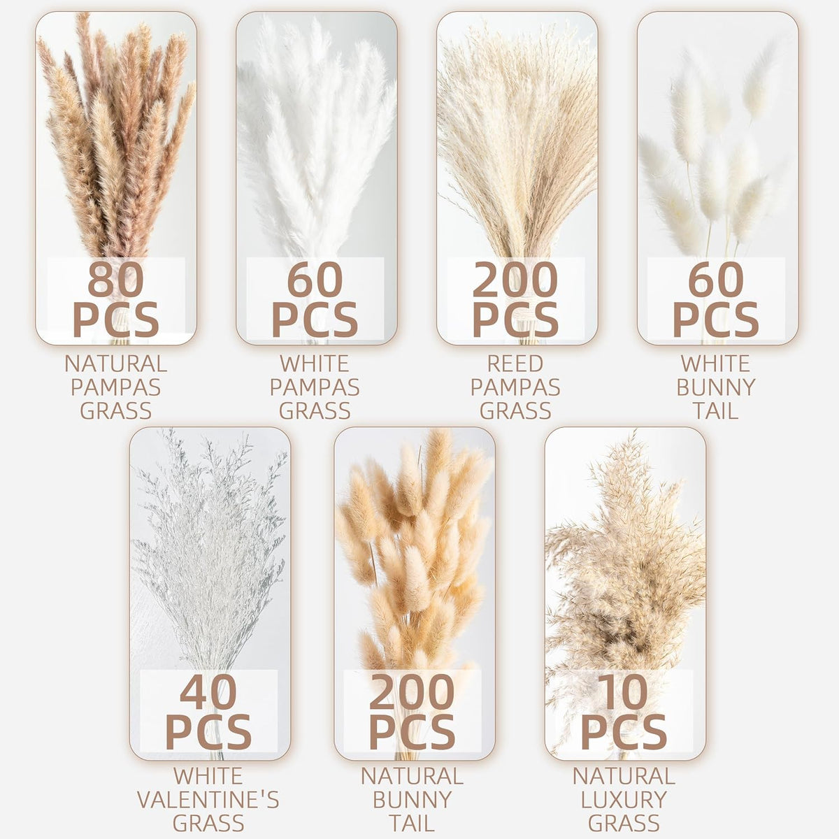 Natural Dried Pampas Grass Boho Home Decor Bouquet Phragmites Dried Flowers Bouquet for Wedding Floral Arrangements Living Room Decorations