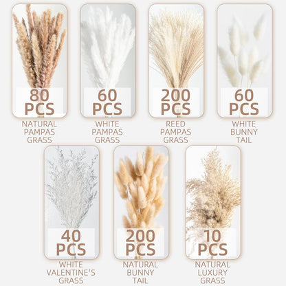 Natural Dried Pampas Grass Boho Home Decor Bouquet Phragmites Dried Flowers Bouquet for Wedding Floral Arrangements Living Room Decorations