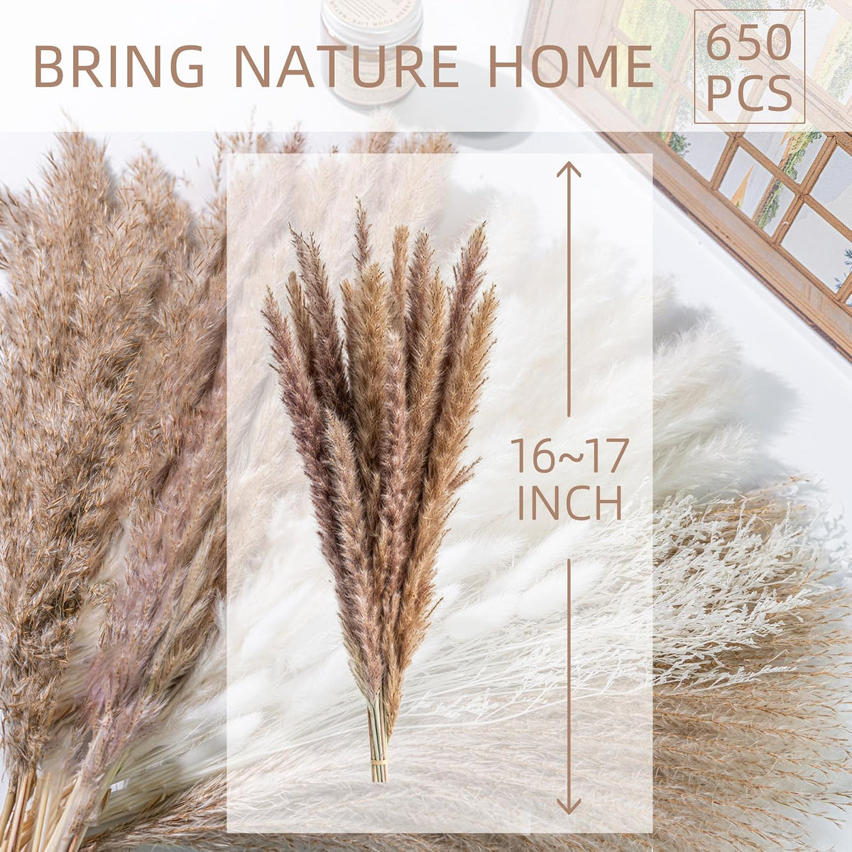 Natural Dried Pampas Grass Boho Home Decor Bouquet Phragmites Dried Flowers Bouquet for Wedding Floral Arrangements Living Room Decorations