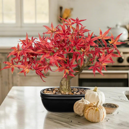 Artificial Bonsai Tree 12.9 Inch Faux Ficus Plant in Ceramic Pot with Pebbles Fake Green Potted Plant for Home Office Desk Decor Indoor Zen Table Centerpiece, Small Artificial Plants for Living Room