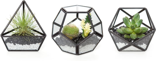 3 Pack Geometric Glass Terrarium, 4" Gold Air Plant Holder Tabletop | Modern Centerpiece Decor, 3 Shapes Metal Frame, Fits Succulent Moss Fairy Garden Shelf Coffee Table, Plants Not Included