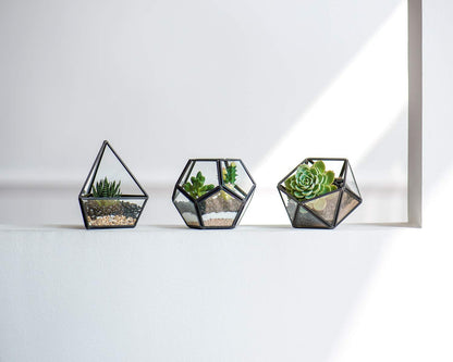 3 Pack Geometric Glass Terrarium, 4" Gold Air Plant Holder Tabletop | Modern Centerpiece Decor, 3 Shapes Metal Frame, Fits Succulent Moss Fairy Garden Shelf Coffee Table, Plants Not Included