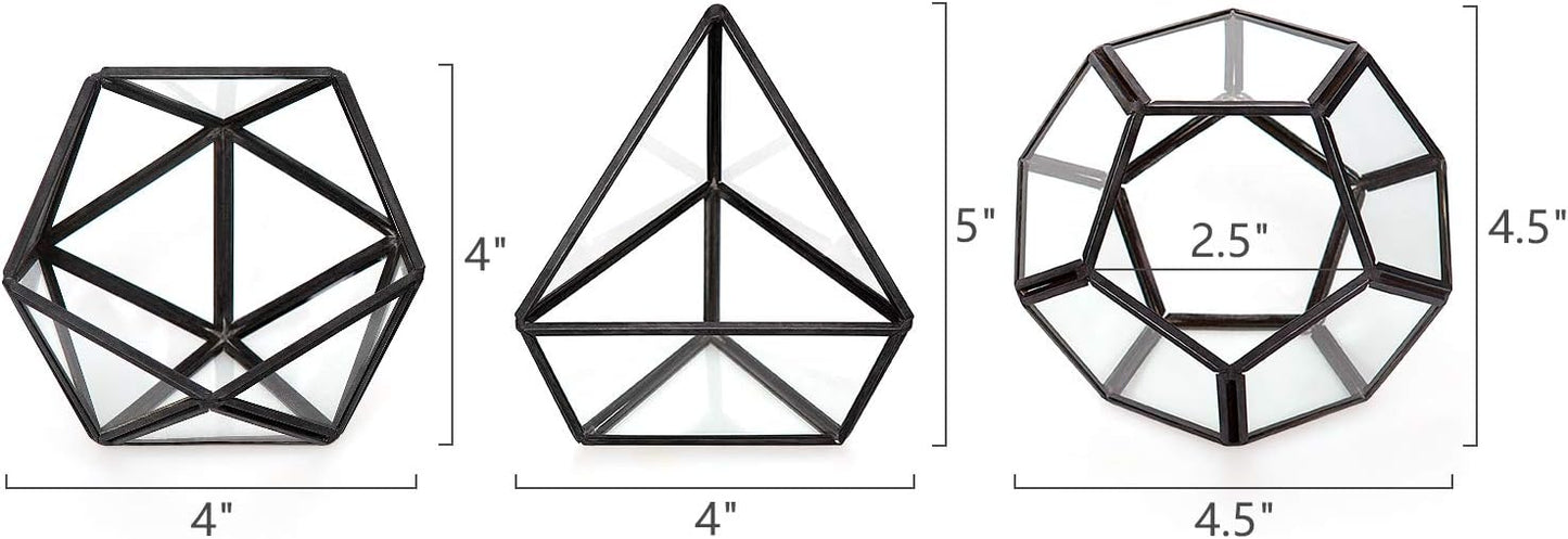3 Pack Geometric Glass Terrarium, 4" Gold Air Plant Holder Tabletop | Modern Centerpiece Decor, 3 Shapes Metal Frame, Fits Succulent Moss Fairy Garden Shelf Coffee Table, Plants Not Included