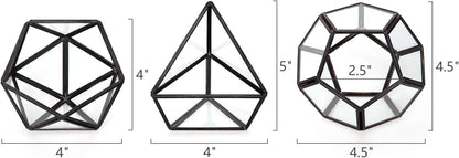 3 Pack Geometric Glass Terrarium, 4" Gold Air Plant Holder Tabletop | Modern Centerpiece Decor, 3 Shapes Metal Frame, Fits Succulent Moss Fairy Garden Shelf Coffee Table, Plants Not Included