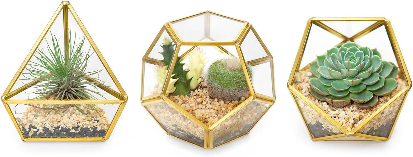 3 Pack Geometric Glass Terrarium, 4" Gold Air Plant Holder Tabletop | Modern Centerpiece Decor, 3 Shapes Metal Frame, Fits Succulent Moss Fairy Garden Shelf Coffee Table, Plants Not Included