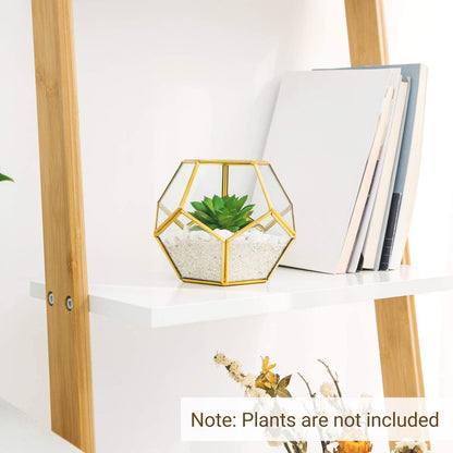 3 Pack Geometric Glass Terrarium, 4" Gold Air Plant Holder Tabletop | Modern Centerpiece Decor, 3 Shapes Metal Frame, Fits Succulent Moss Fairy Garden Shelf Coffee Table, Plants Not Included