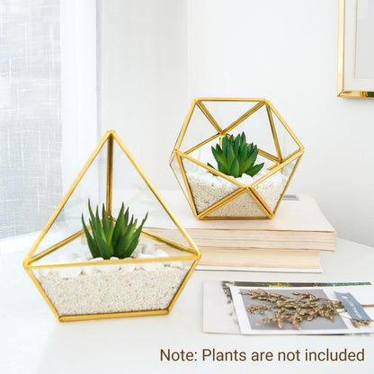 3 Pack Geometric Glass Terrarium, 4" Gold Air Plant Holder Tabletop | Modern Centerpiece Decor, 3 Shapes Metal Frame, Fits Succulent Moss Fairy Garden Shelf Coffee Table, Plants Not Included