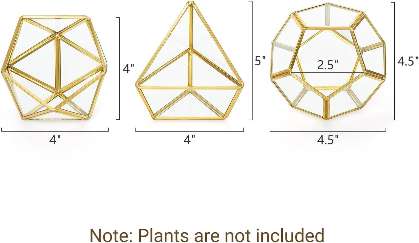 3 Pack Geometric Glass Terrarium, 4" Gold Air Plant Holder Tabletop | Modern Centerpiece Decor, 3 Shapes Metal Frame, Fits Succulent Moss Fairy Garden Shelf Coffee Table, Plants Not Included