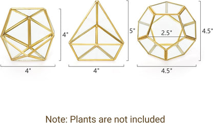 3 Pack Geometric Glass Terrarium, 4" Gold Air Plant Holder Tabletop | Modern Centerpiece Decor, 3 Shapes Metal Frame, Fits Succulent Moss Fairy Garden Shelf Coffee Table, Plants Not Included