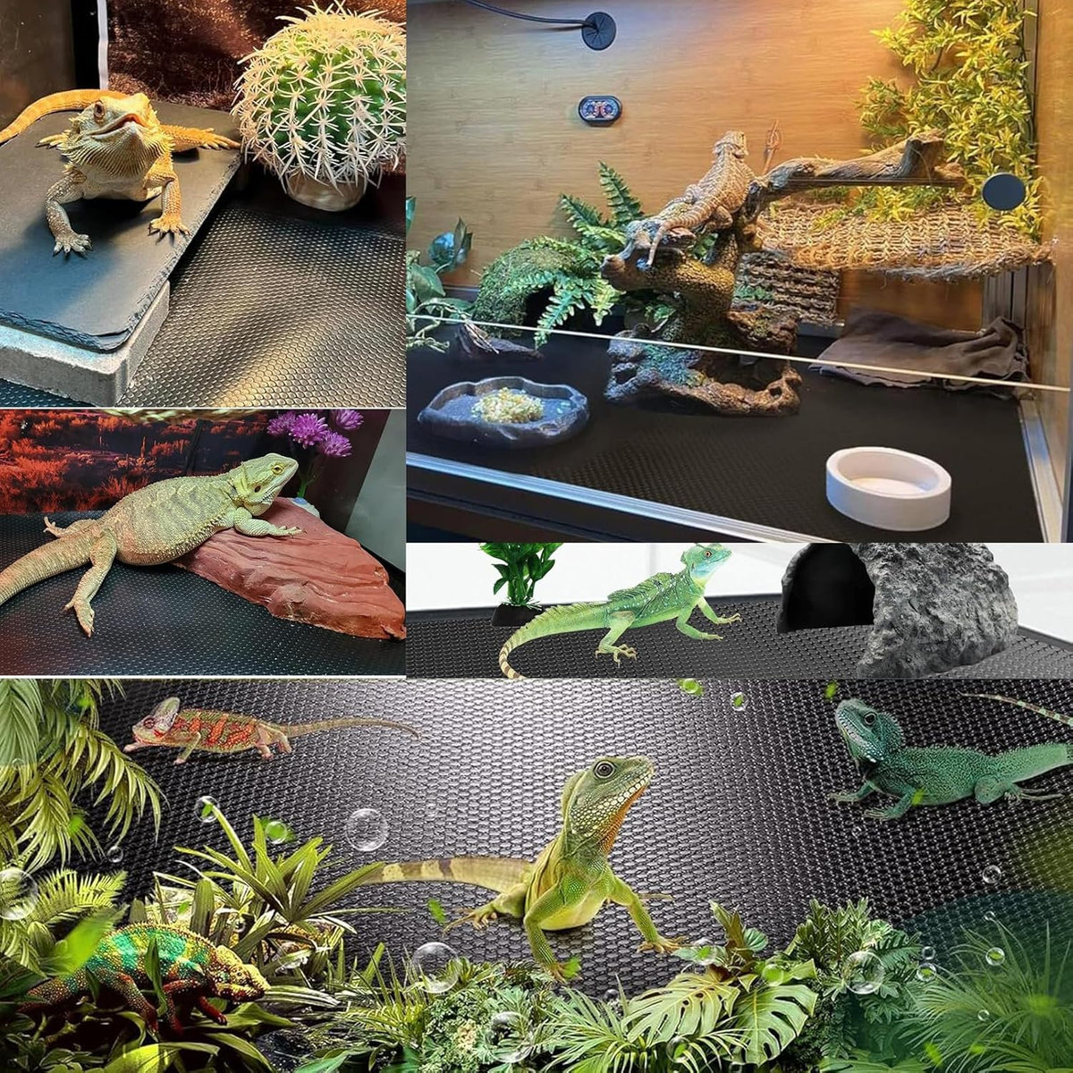 Bearded Dragon Tank Accessories Non-Adhesive Reptile Carpet Bedding