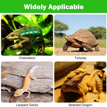 Bearded Dragon Tank Accessories Non-Adhesive Reptile Carpet Bedding