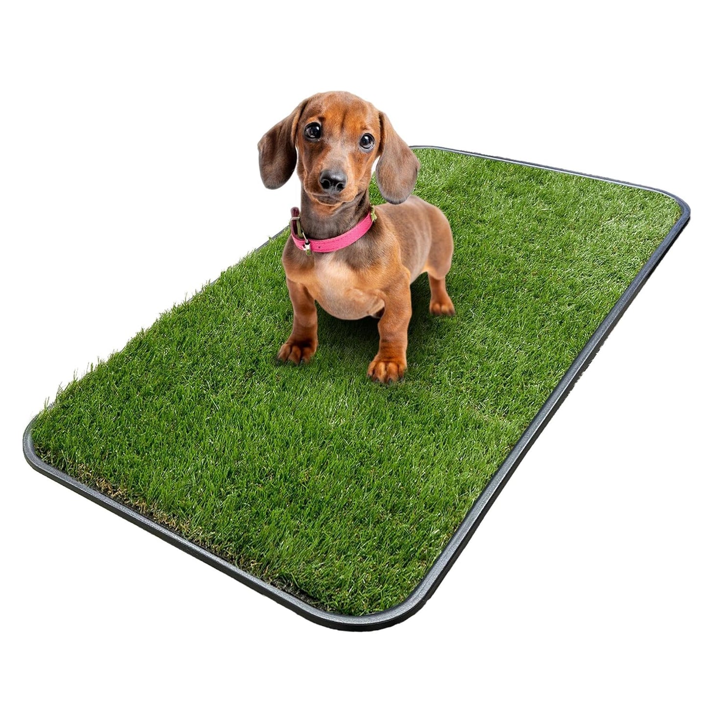 Artificial Grass Puppy Potty Training Pad with Tray, 15" x 30" Reusable Pee Pad for Small Pets and Dogs