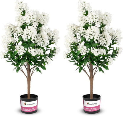 Purple Crape Myrtle Tree | 36 in High, Black Pot, Lifelike Artificial, Indoor and Outdoor, Flower Tree, UV Resistant