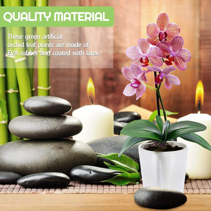 6 Pcs 10.9 Inch Faux Orchid Leaves Artificial Orchids Leaves Phalaenopsis Stems Leaf Green Leaf Plants Green Faux Stem Latex Cymbidium Stems for Flowers Arrangements Pot Decoration