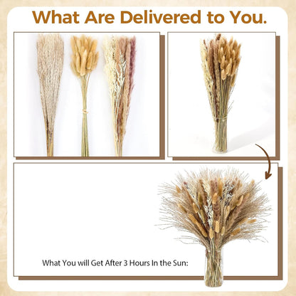 Pampas Grass Decor, Dried Flowers Bouquet for Boho Home Farmhouse Decor