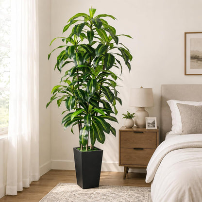 7FT Artificial Dracaena Tree, Fake Tree Indoor with Black Tall Planter,Tall Artificial Plants Indoor,Artificial Silk Tree for Home Office Decor (Black)