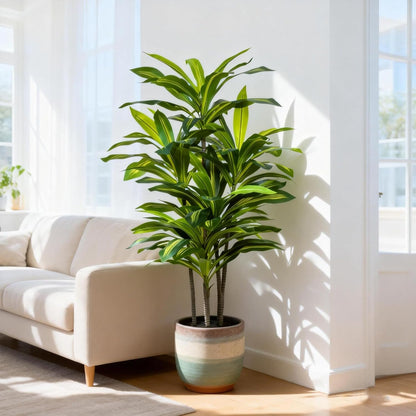 7FT Artificial Dracaena Tree, Fake Tree Indoor with Black Tall Planter,Tall Artificial Plants Indoor,Artificial Silk Tree for Home Office Decor (Black)