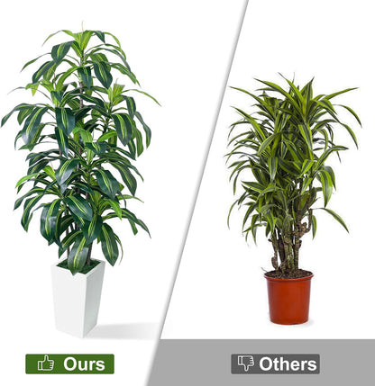 7FT Artificial Dracaena Tree, Fake Tree Indoor with Black Tall Planter,Tall Artificial Plants Indoor,Artificial Silk Tree for Home Office Decor (Black)