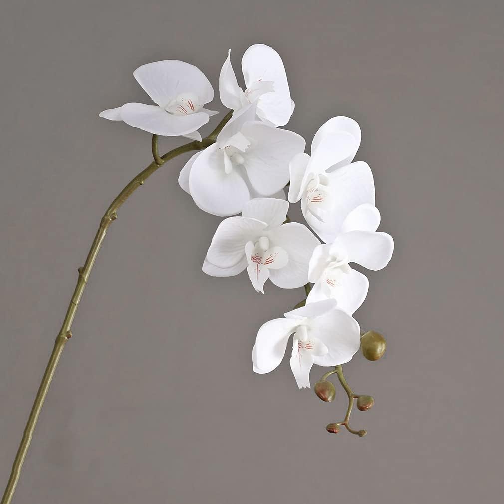 Artificial Orchid Plant, 35 Inch 4 Pcs Phalaenopsis Flowers with Leaves, Real Touch Orchid Stems for Home Decoration