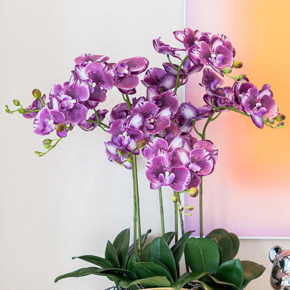 Artificial Orchid Plant, 35 Inch 4 Pcs Phalaenopsis Flowers with Leaves, Real Touch Orchid Stems for Home Decoration