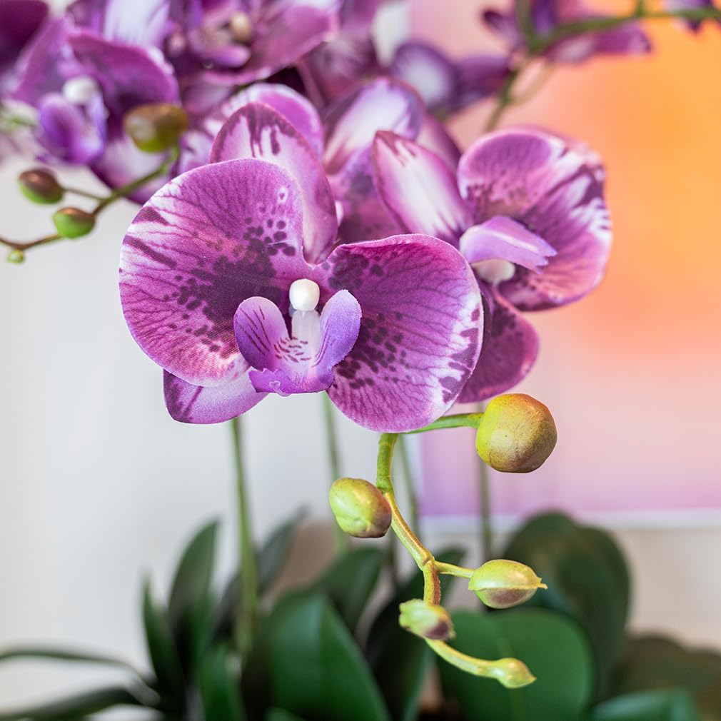 Artificial Orchid Plant, 35 Inch 4 Pcs Phalaenopsis Flowers with Leaves, Real Touch Orchid Stems for Home Decoration