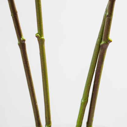 Artificial Orchid Plant, 35 Inch 4 Pcs Phalaenopsis Flowers with Leaves, Real Touch Orchid Stems for Home Decoration