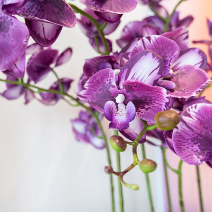 Artificial Orchid Plant, 35 Inch 4 Pcs Phalaenopsis Flowers with Leaves, Real Touch Orchid Stems for Home Decoration