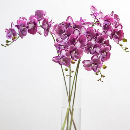 Artificial Orchid Plant, 35 Inch 4 Pcs Phalaenopsis Flowers with Leaves, Real Touch Orchid Stems for Home Decoration