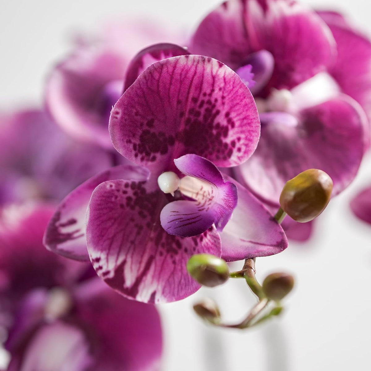 Artificial Orchid Plant, 35 Inch 4 Pcs Phalaenopsis Flowers with Leaves, Real Touch Orchid Stems for Home Decoration
