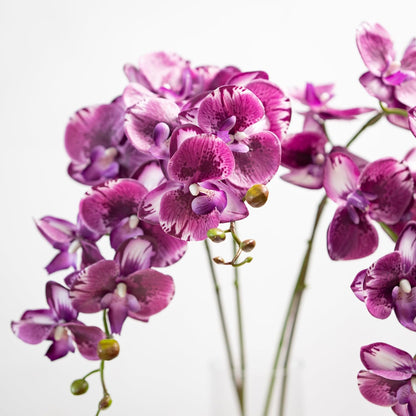 Artificial Orchid Plant, 35 Inch 4 Pcs Phalaenopsis Flowers with Leaves, Real Touch Orchid Stems for Home Decoration