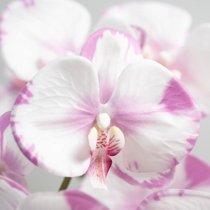 Artificial Orchid Plant, 35 Inch 4 Pcs Phalaenopsis Flowers with Leaves, Real Touch Orchid Stems for Home Decoration