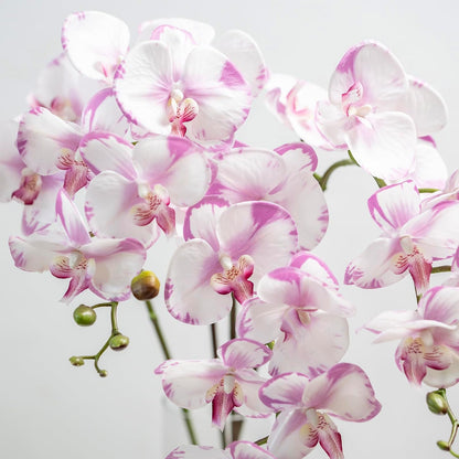 Artificial Orchid Plant, 35 Inch 4 Pcs Phalaenopsis Flowers with Leaves, Real Touch Orchid Stems for Home Decoration
