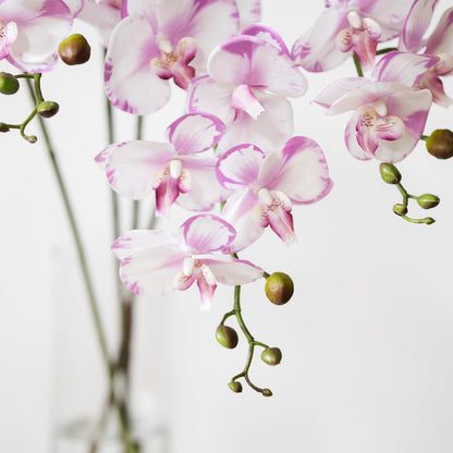Artificial Orchid Plant, 35 Inch 4 Pcs Phalaenopsis Flowers with Leaves, Real Touch Orchid Stems for Home Decoration