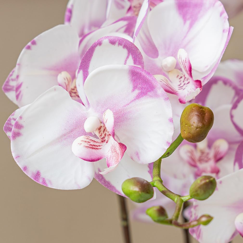 Artificial Orchid Plant, 35 Inch 4 Pcs Phalaenopsis Flowers with Leaves, Real Touch Orchid Stems for Home Decoration