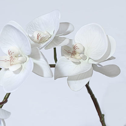 Artificial Orchid Plant, 35 Inch 4 Pcs Phalaenopsis Flowers with Leaves, Real Touch Orchid Stems for Home Decoration