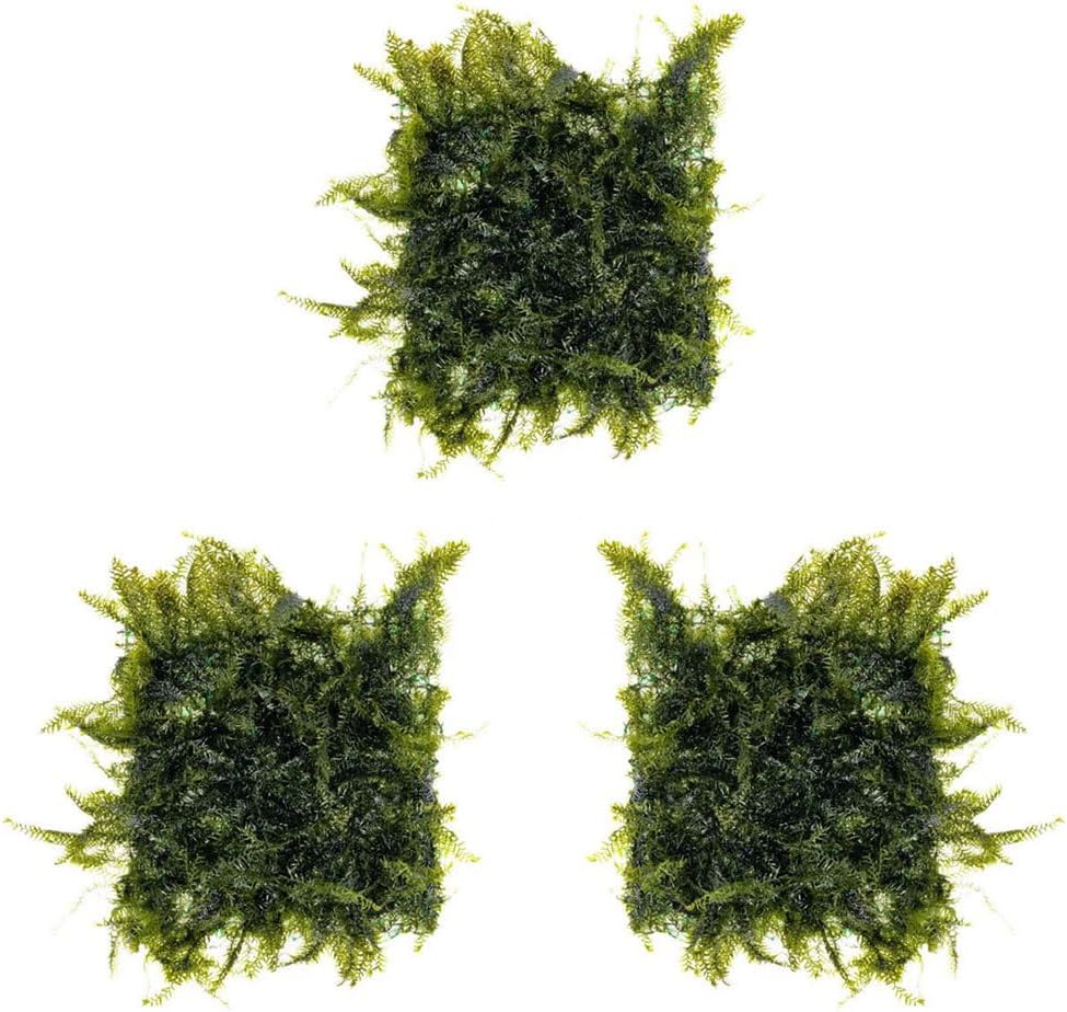 Christmas Moss Live Aquarium Plant - Freshwater Fish Tank Decorations for Natural Aquatic Décor (Golf Ball)