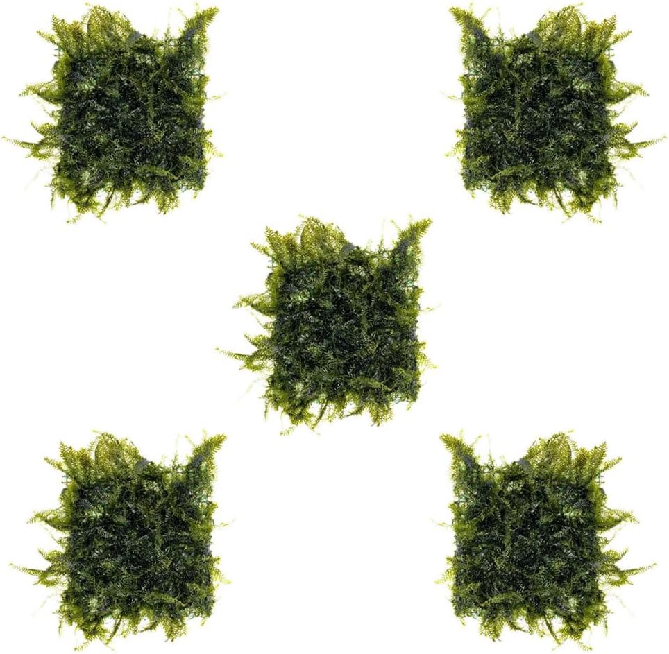 Christmas Moss Live Aquarium Plant - Freshwater Fish Tank Decorations for Natural Aquatic Décor (Golf Ball)