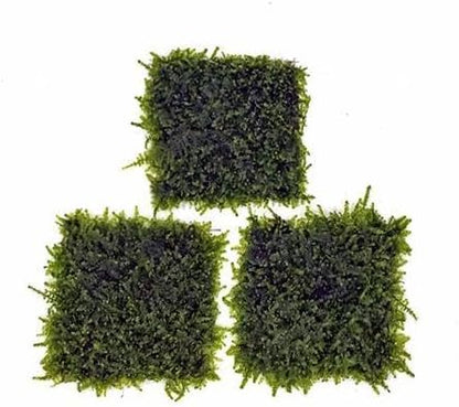 Christmas Moss Live Aquarium Plant - Freshwater Fish Tank Decorations for Natural Aquatic Décor (Golf Ball)